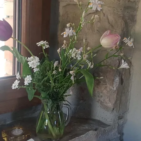 Segarati Relax La Romantica Hotell 2*